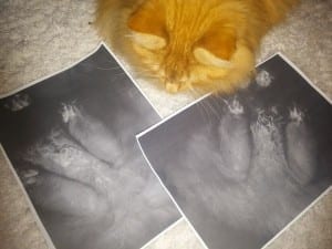 images