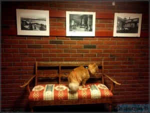 images