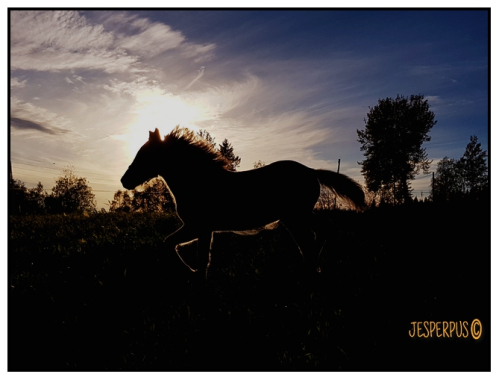 images