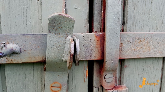 images